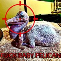 SPIDER GANG - BABY PELICAN 2 (FUCK BABY PELICAN) (baby pelican diss)
