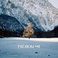LPS - Počakaj Me