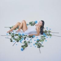 Jessica Baio - petals