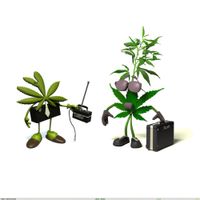 Beat Detectives - Legal Weed