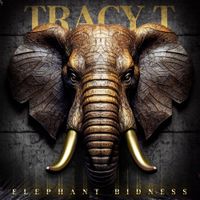 Tracy T - Elephant Business