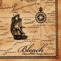 Bleach - Farewell Old Friends