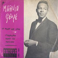 Marvin Gaye - Stubborn Kind of Fellow