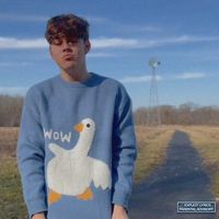 kitz - gooseboy