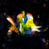 Flavien Berger - Contrebande 02. Le disque de l&rsquo;&eacute;t&eacute;