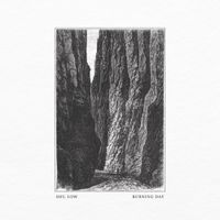 Shy, Low - Burning Day