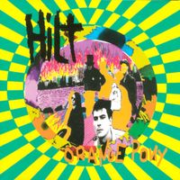 Hilt - Orange Pony