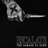 Escalate - The Damage is Done