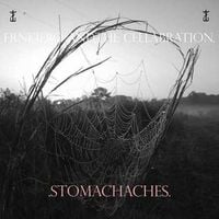 Frank Iero - .Stomachaches.