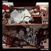 Rosellas - Back In The Room