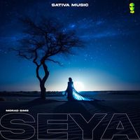GIMS - Seya