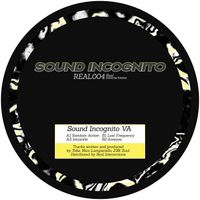 Real Interactions - Sound Incognito VA
