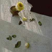 The Bygones - Glad