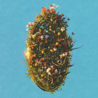 Velvet Trip - Harmony Blooms
