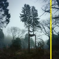 Open Yellow Circle - New Meridian