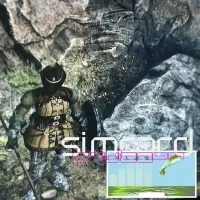 SimCard StyleGAN - "Massively Multiplayer"
