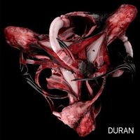 Duran Duran Duran - Duran