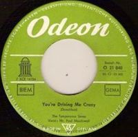 The Temperance Seven - You're Driving Me Crazy