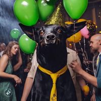 Big Daddy Marc - Man of the Party