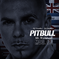 Pitbull - Mr. Worldwide