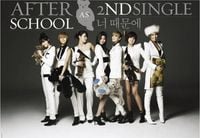 애프터스쿨 [After School] - Because of You
