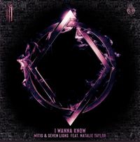 MitiS & Seven Lions - I Wanna Know