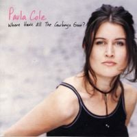 Paula Cole - Where Have All the Cowboys Gone?