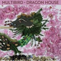 Multibird - Dragon House