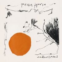 Prize Horse - Under Sound