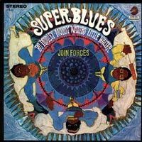 Bo Diddley, Muddy Waters, & Little Walter - Super Blues