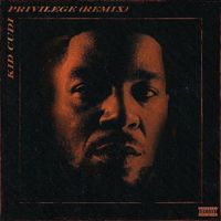 The Weeknd - Privilege (Remix)
