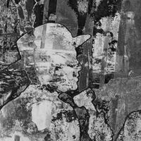 pty - CALIGINOUS (DELUXE EDITION)