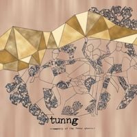 Tunng - Comments of the Inner Chorus