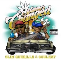 Soulzay - Nothing's Changed