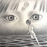 Evanora Unlimited - Sequoia Tide