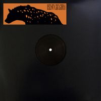 Michel Lauriola - Calm Chaos