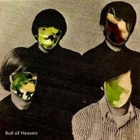Bull of Heaven - 19 nervous breakdowns (I'm about to have)