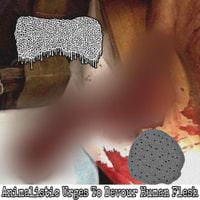 Lymphoedema - Animalistic Urges To Devour Human Flesh