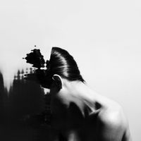 Oaktree & Avondlicht - Amalgamation