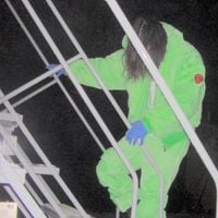 BONES - .ZIP
