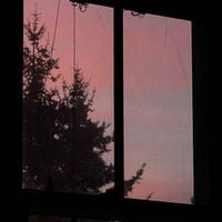 foxtails - home