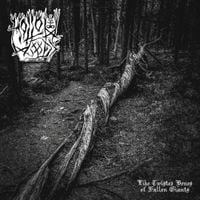 Hollow Woods - Like Twisted Bones of Fallen Giants