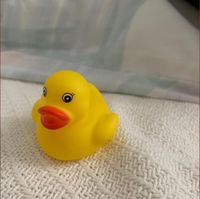 Duck - Shortest album