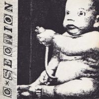 SWEET SPINE - C-Section