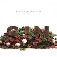 Kings Kaleidoscope - Sin