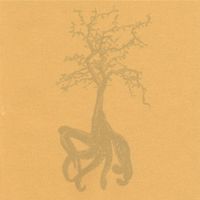 Widows & Orphans - Everything Is Gold
