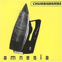Chumbawamba - Amnesia