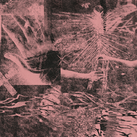 Pincer+ - Visions Of Angels