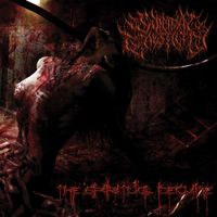Suicidal Causticity - The Spiritual Decline