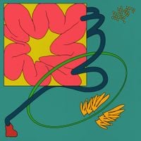 Various Artists - Club Moss